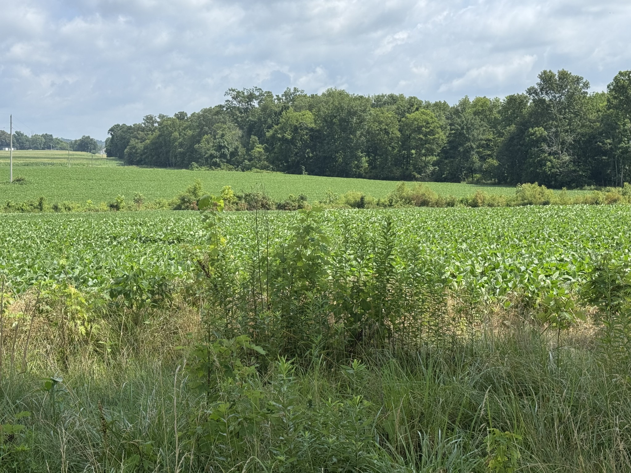 0 Zander Road Hopkinsville, KY 42240 - Photo 2 of 7