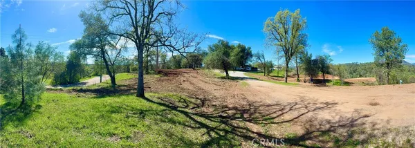 a view of outdoor space with trees