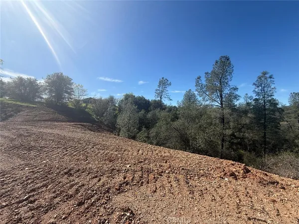 a view of a dry yard with trees