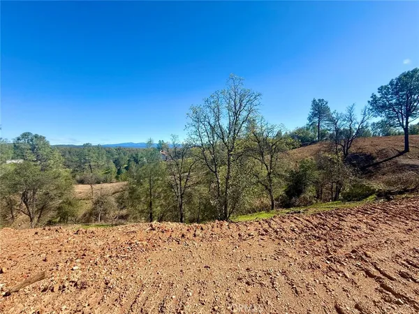 a view of a dry yard with trees