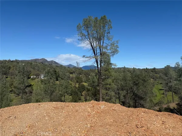 a view of a mountain in the distance