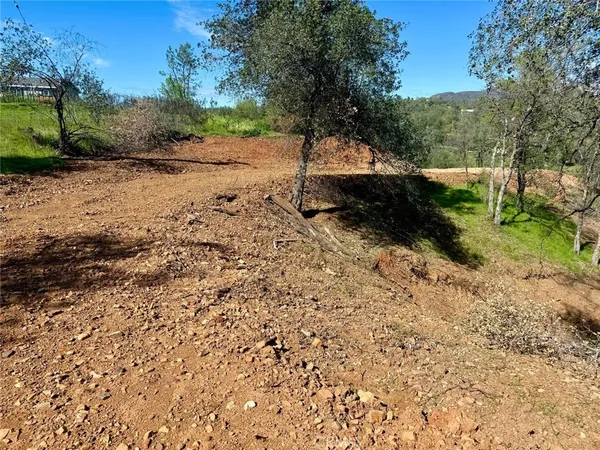 a view of backyard with outdoor space