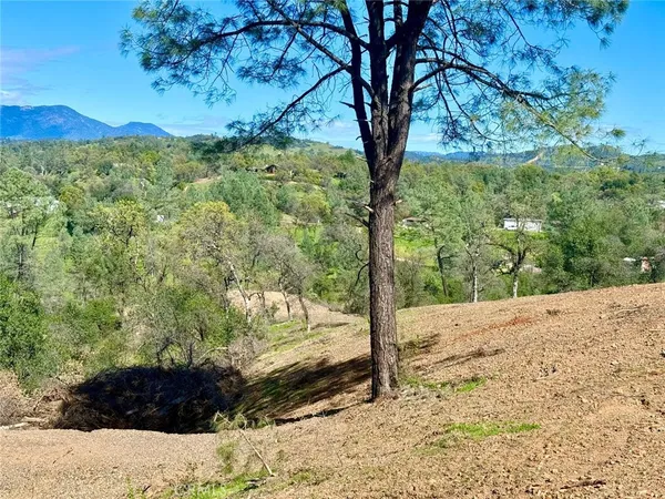 a view of a backyard of a house