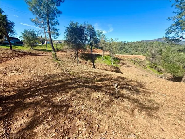 a view of a road with a yard