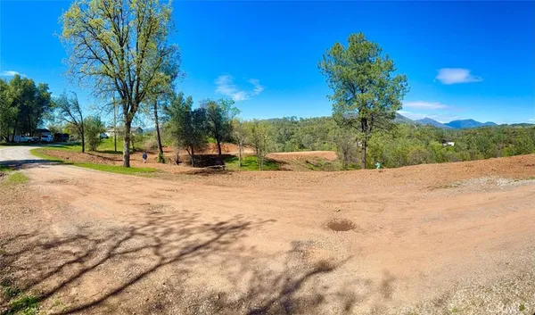 a view of road with large trees