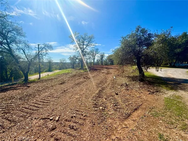 a view of outdoor space with trees