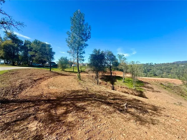 a view of a road with a yard