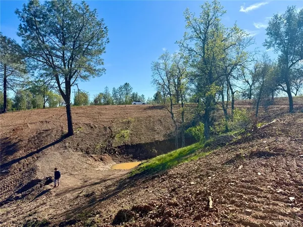 a view of a backyard with large trees