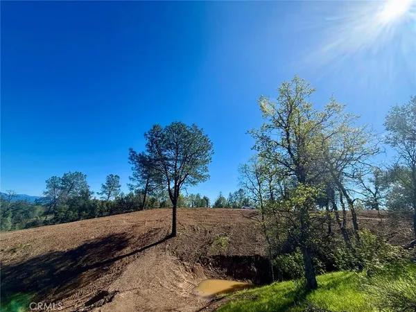 a view of a yard with iron fence