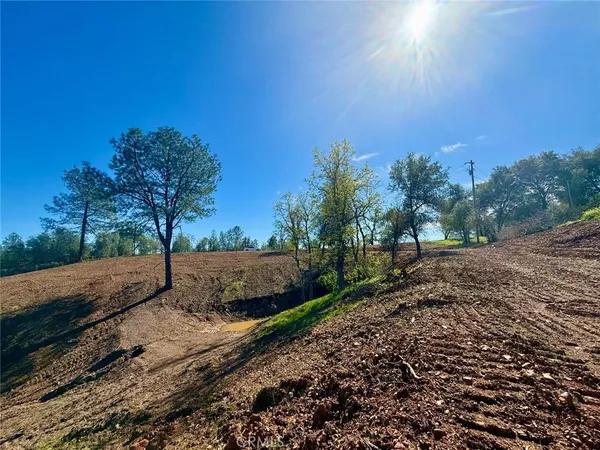 a view of a yard with mountain view
