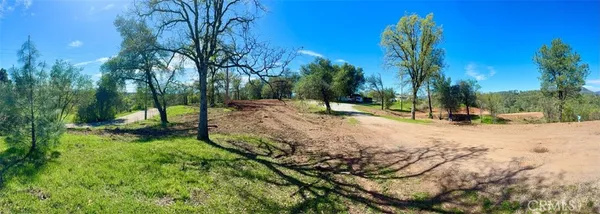 a view of outdoor space with trees