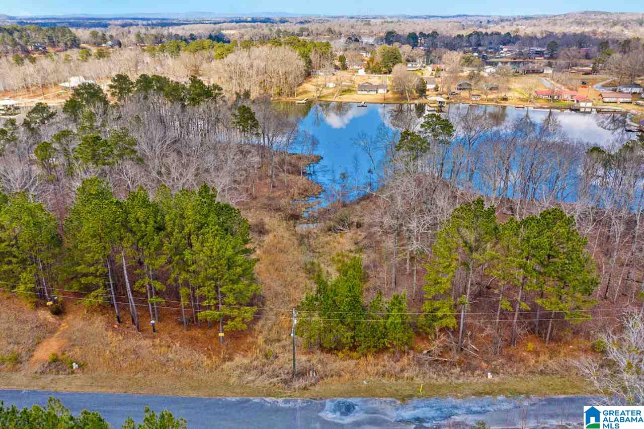 Castaway Road Sylacauga, AL 35151 - Photo 8 of 28