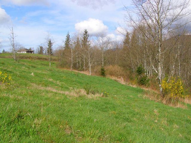 41 Skyview Road Tillamook, OR 97141 - Photo 29 of 33 P3180290