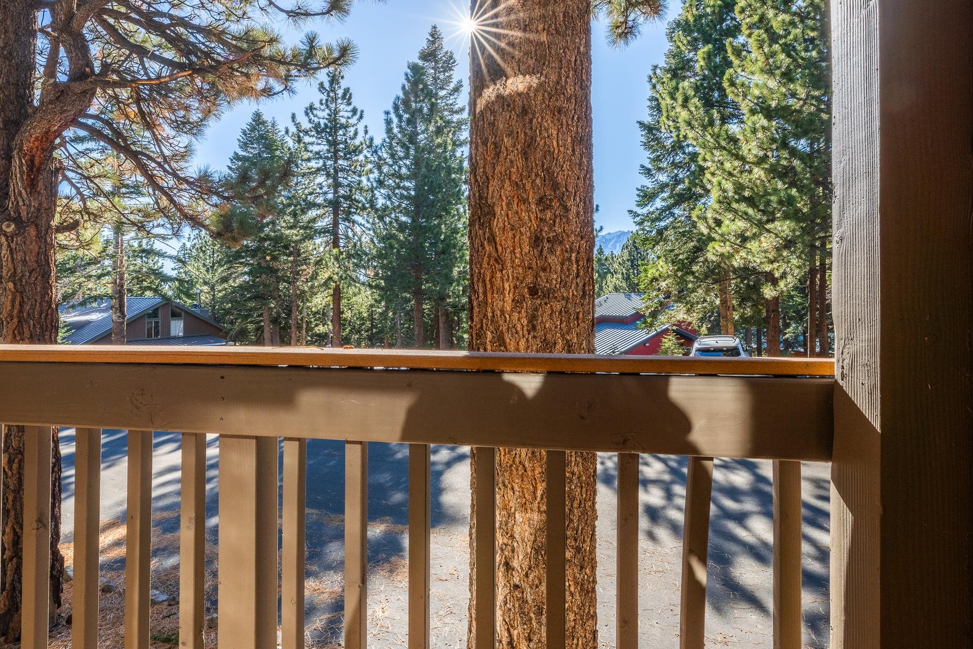 153 Lake Mary Road, Unit 29 Mammoth Lakes, CA 93546 - Photo 23 of 44 a view of balcony