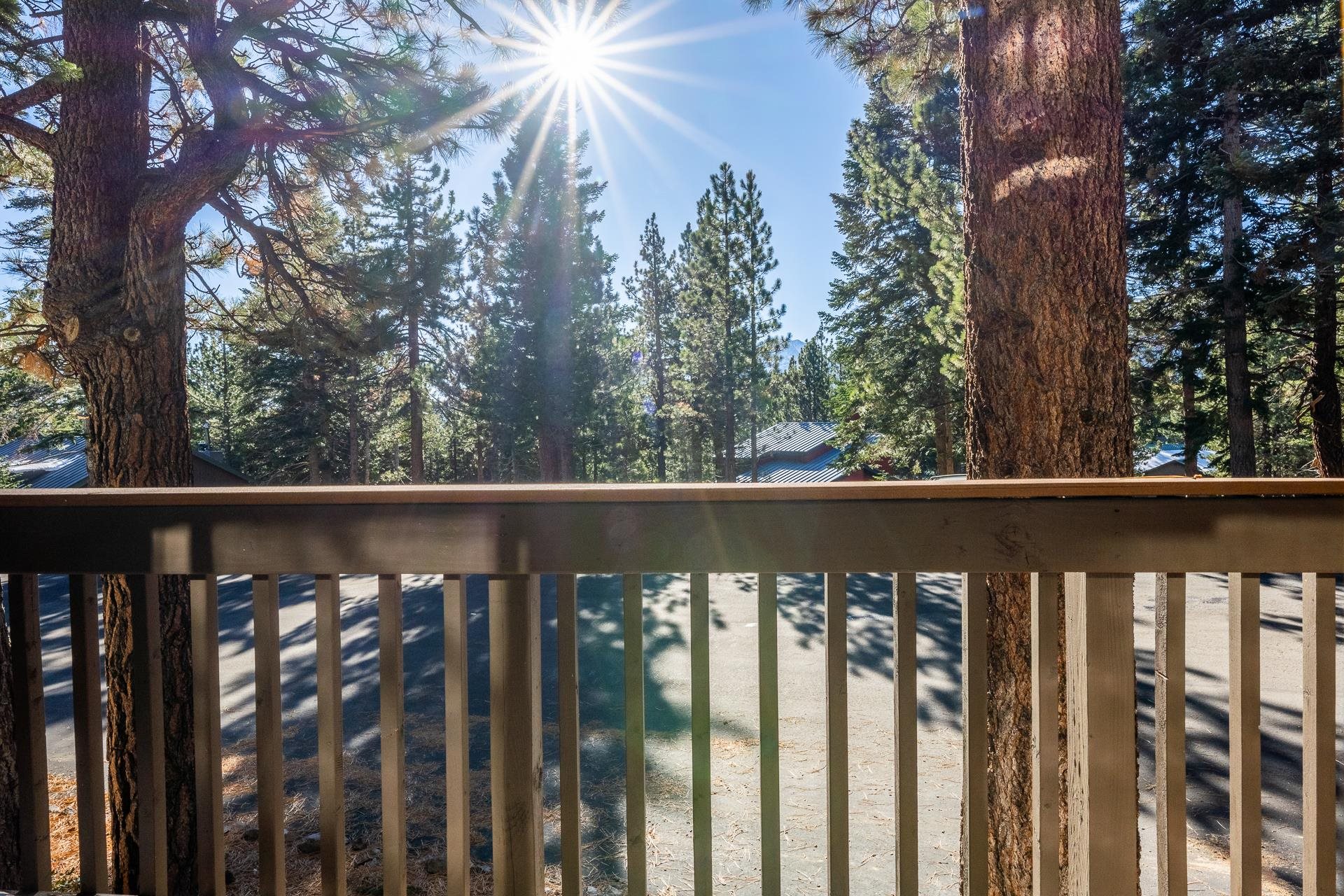 153 Lake Mary Road, Unit 29 Mammoth Lakes, CA 93546 - Photo 24 of 44 a view of a balcony with outdoor space