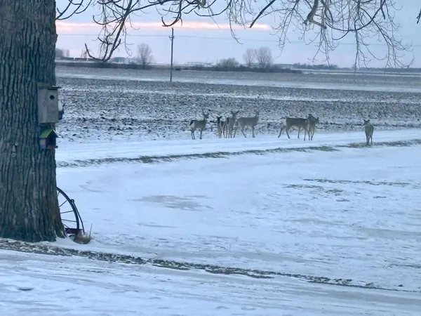 $469,900 | 15304 County Road 11, Herman, MN 56248