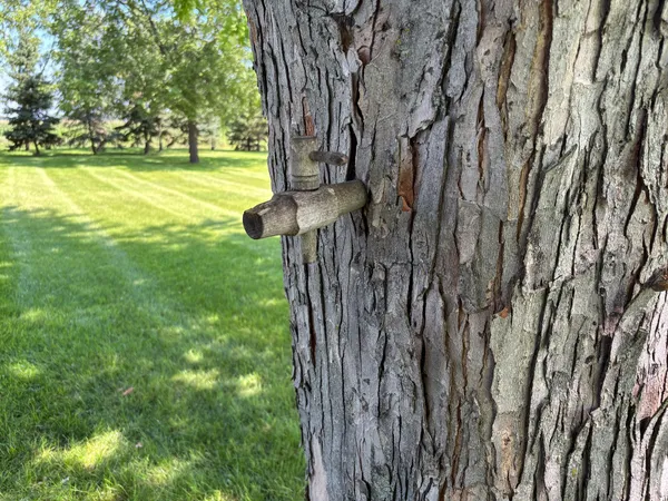 $469,900 | 15304 County Road 11, Herman, MN 56248