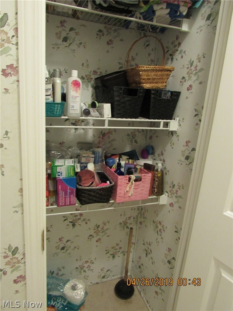 4502 Tower Road Dorset, OH 44032 - Photo 10 of 16 Linen closet in Master Bathroom.
