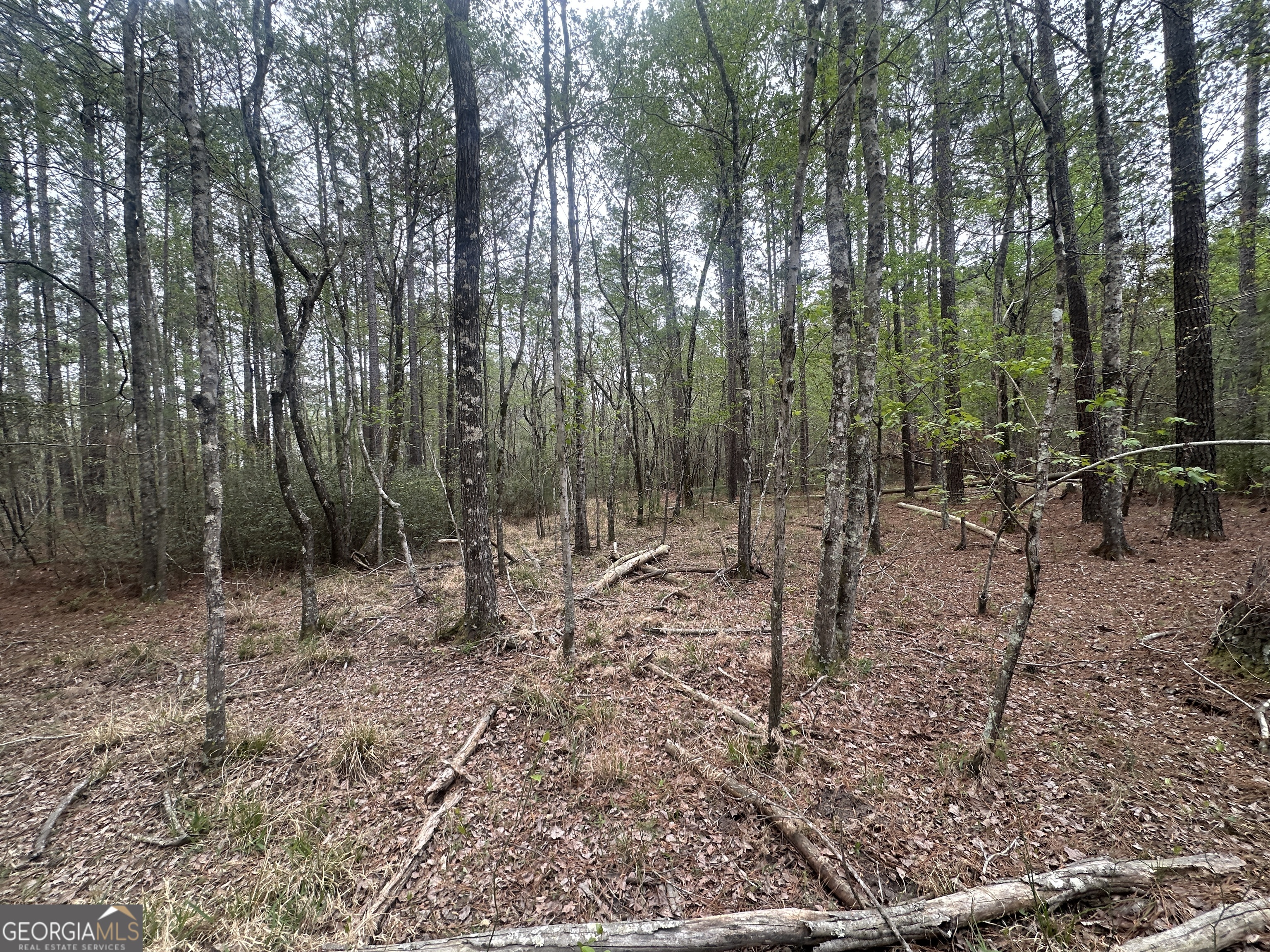 0 Fred Chance Road Millen, GA 30442 - Photo 12 of 19