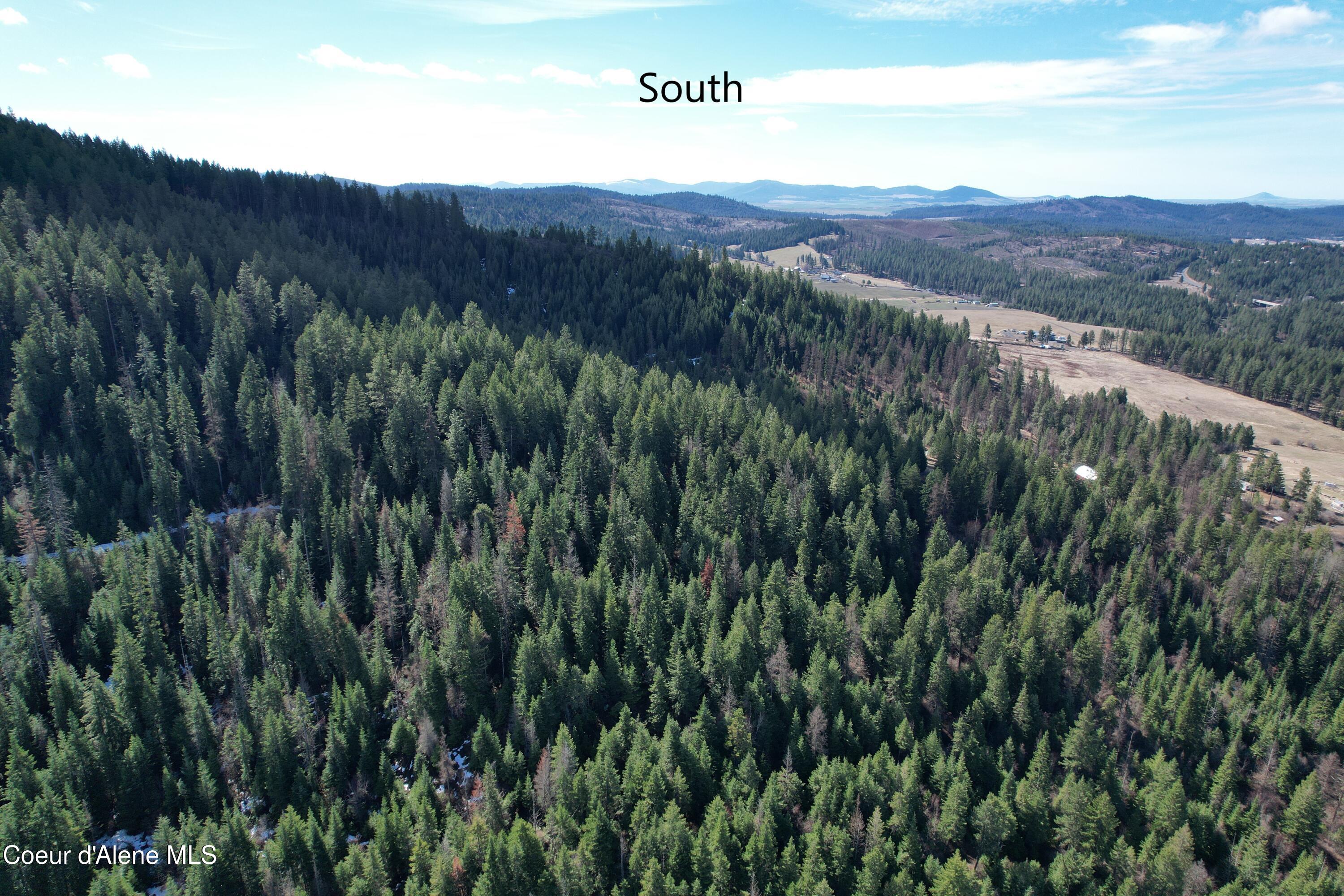 4 Thimbleberry Lane Plummer, ID 83851 - Photo 17 of 30 Aerial South