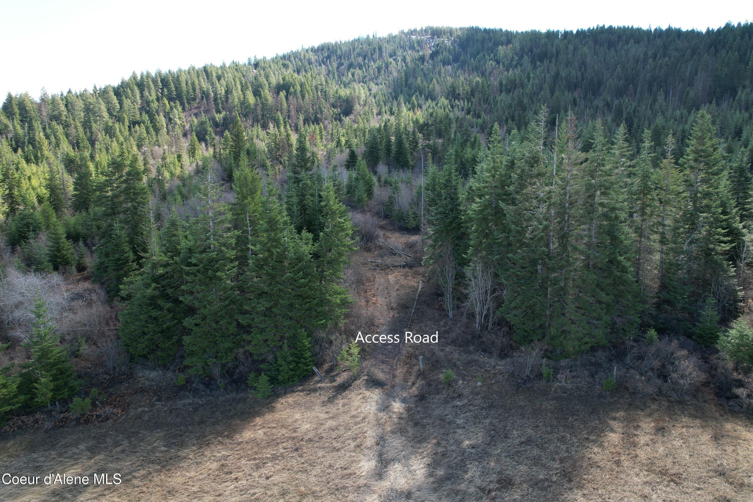 4 Thimbleberry Lane Plummer, ID 83851 - Photo 19 of 30 Access Road