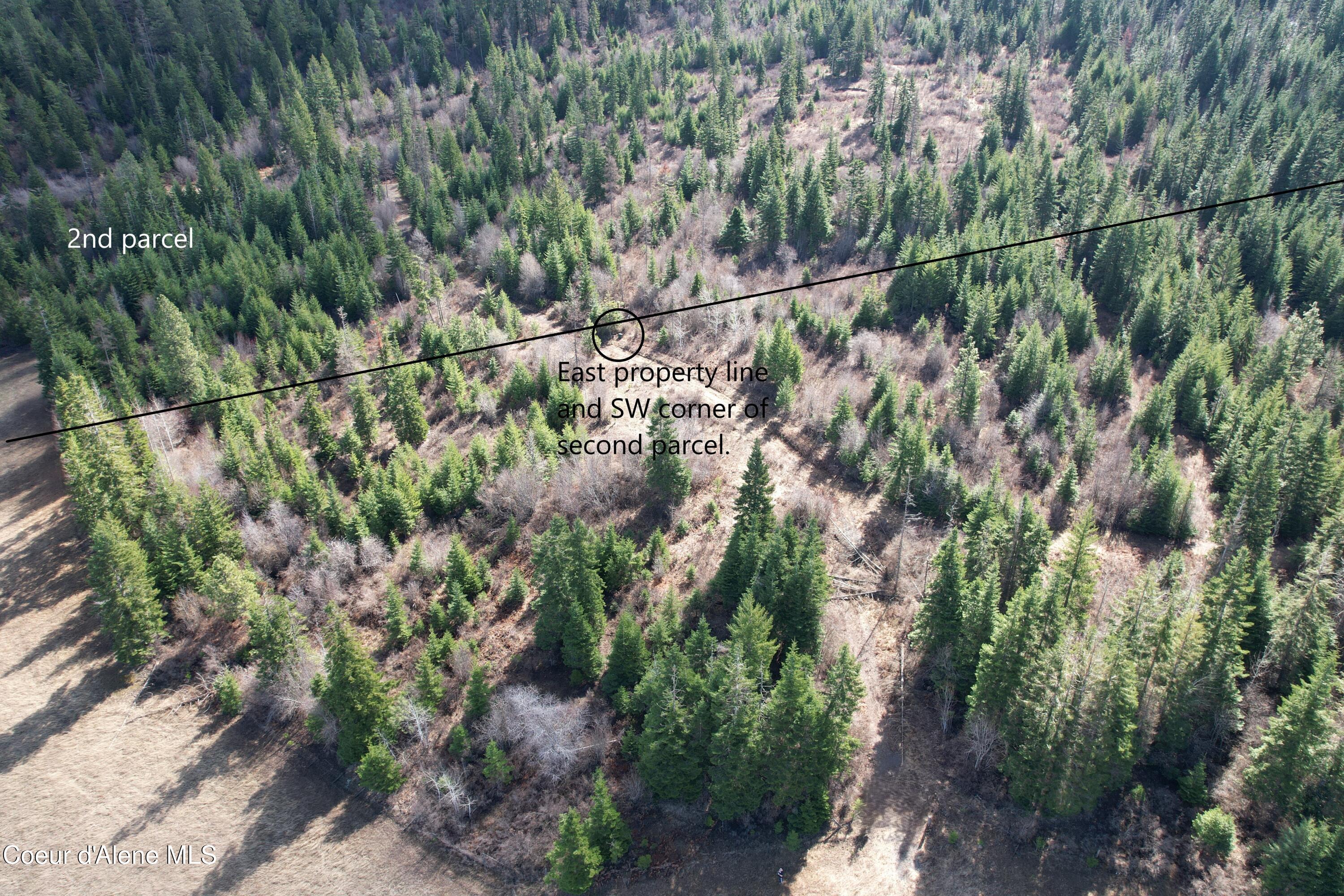 4 Thimbleberry Lane Plummer, ID 83851 - Photo 20 of 30 Access road to East property line