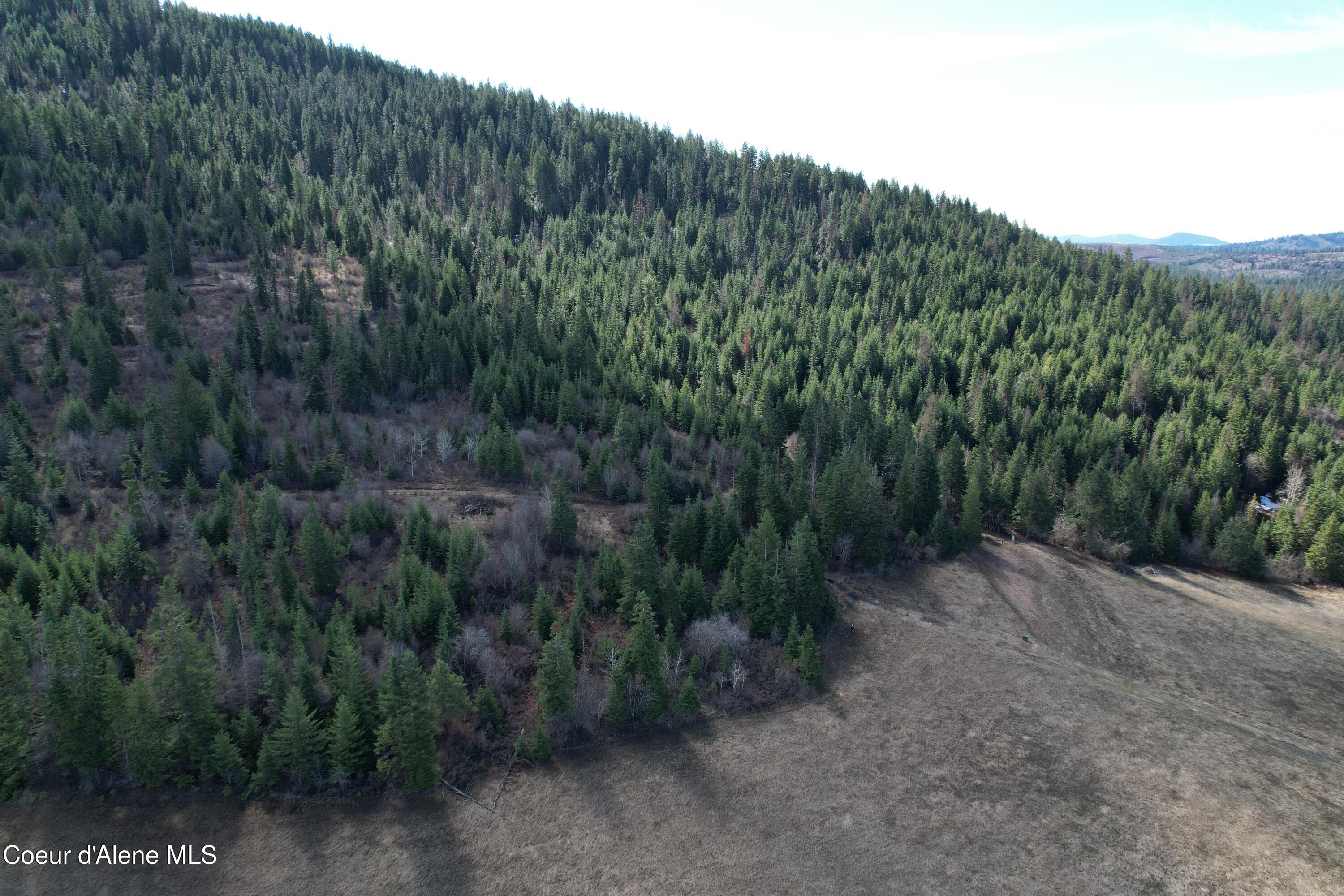 4 Thimbleberry Lane Plummer, ID 83851 - Photo 21 of 30 Aerial treed area