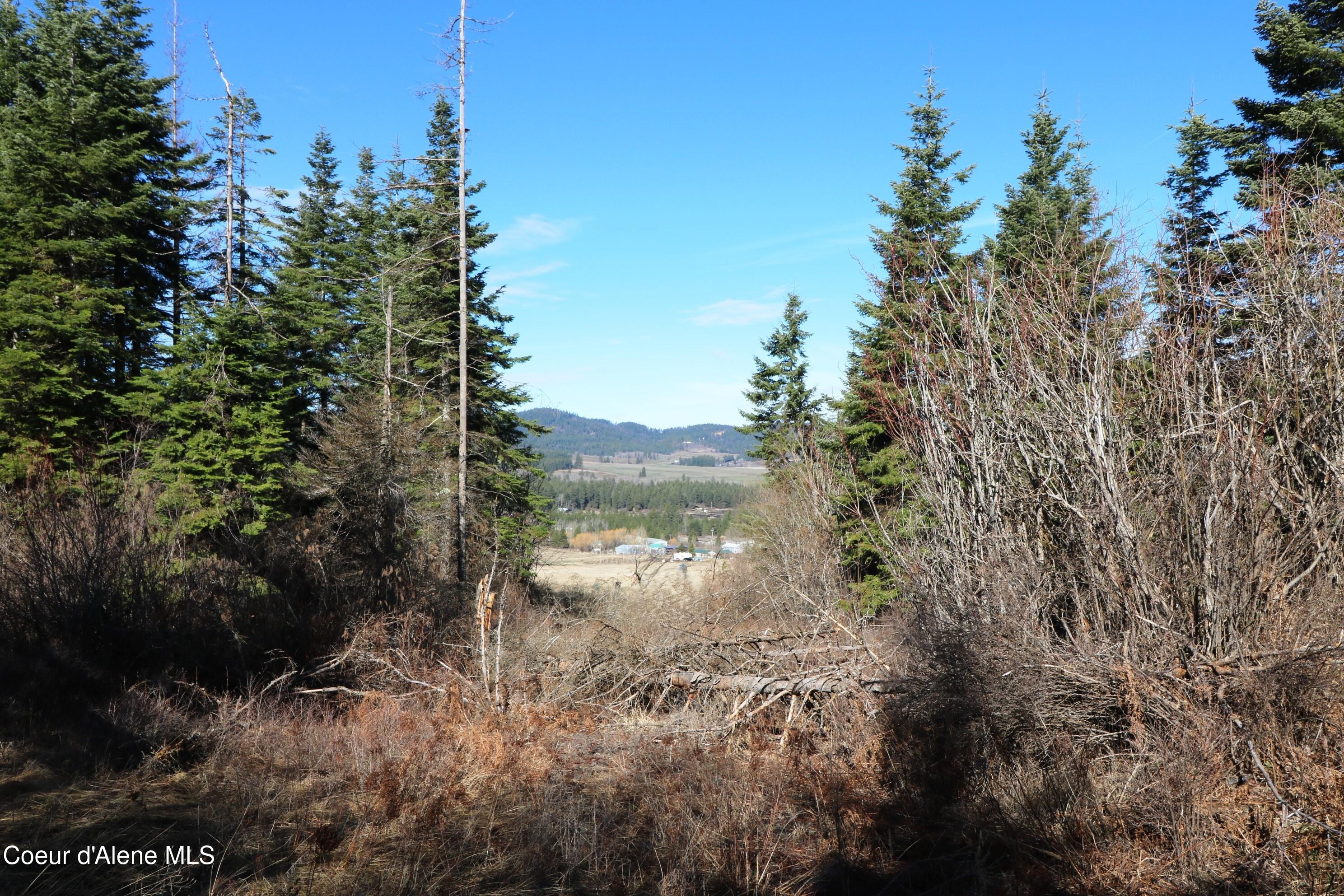 4 Thimbleberry Lane Plummer, ID 83851 - Photo 22 of 30 Access road