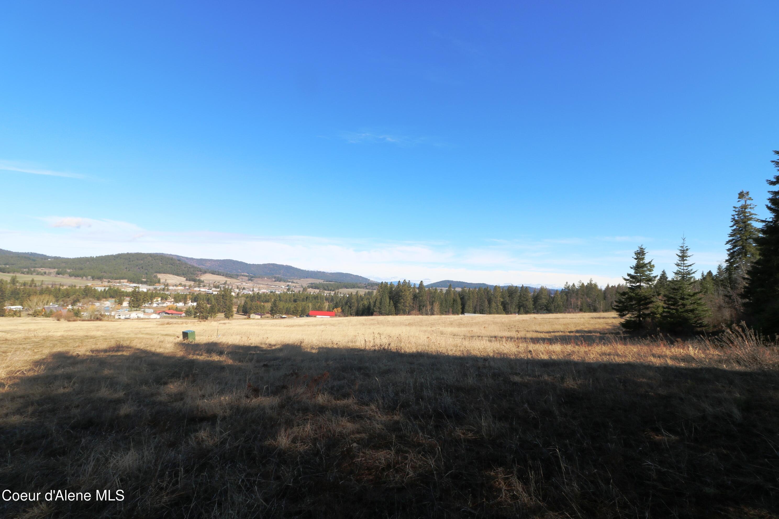 4 Thimbleberry Lane Plummer, ID 83851 - Photo 27 of 30 Field view