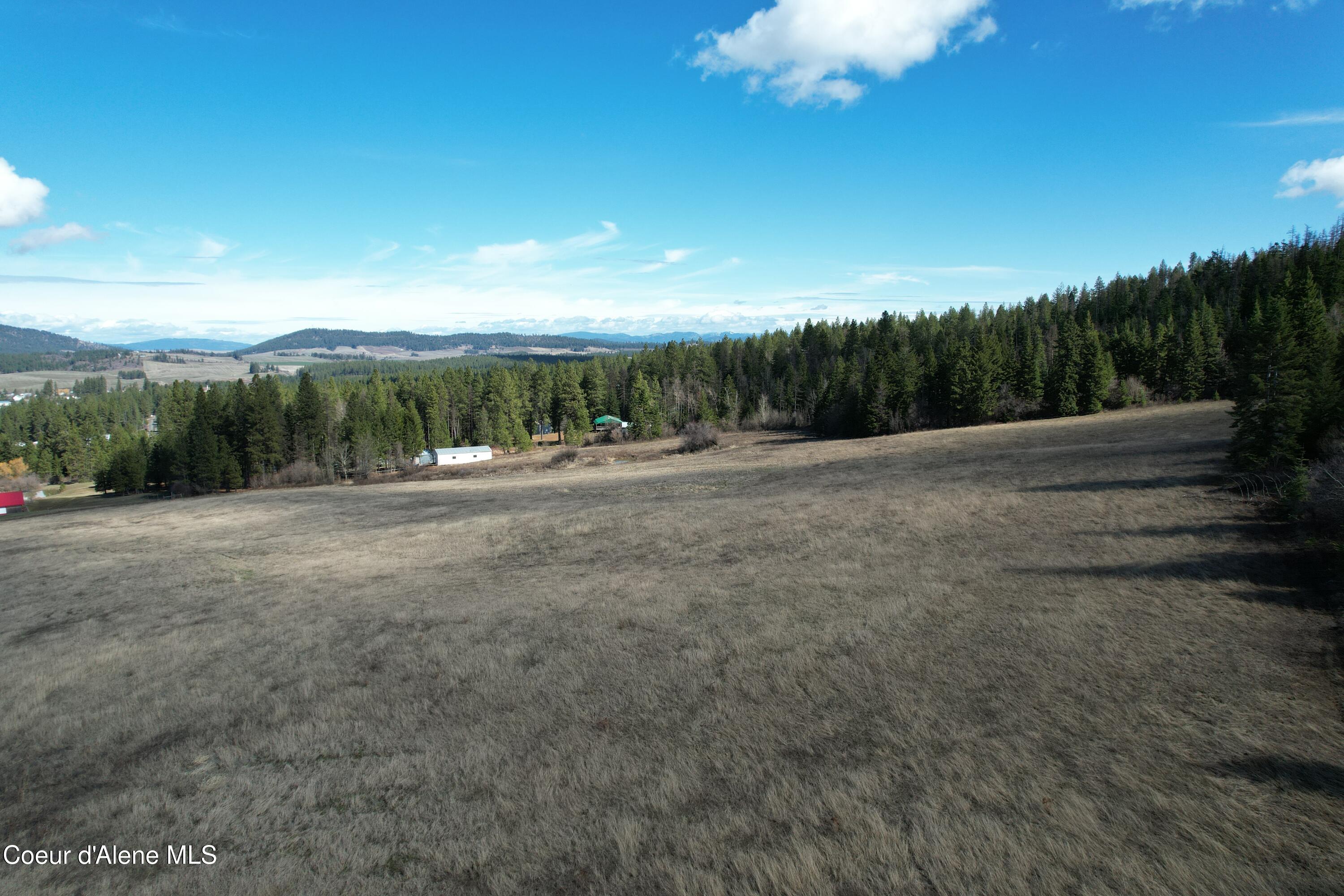4 Thimbleberry Lane Plummer, ID 83851 - Photo 3 of 30 Field