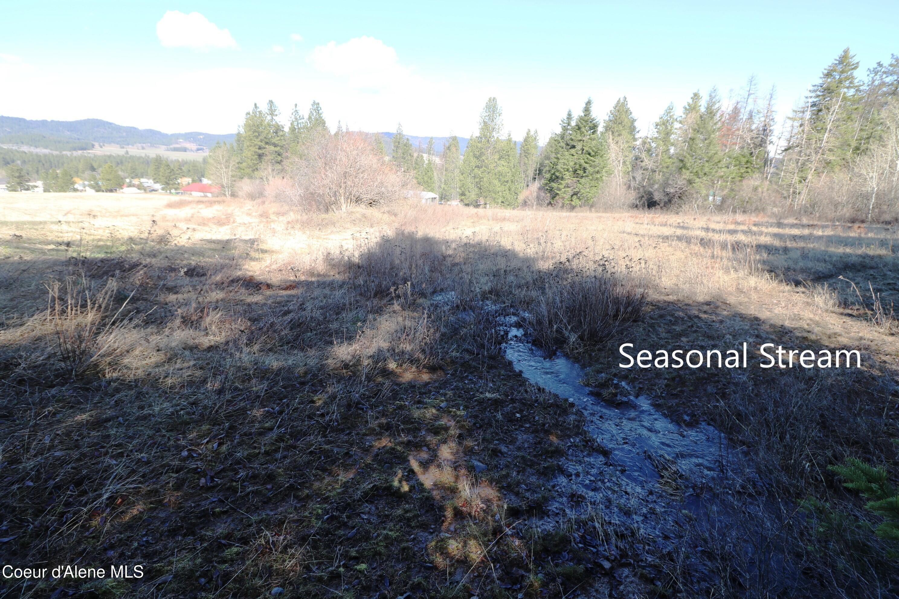 4 Thimbleberry Lane Plummer, ID 83851 - Photo 5 of 30 Seasonal Stream
