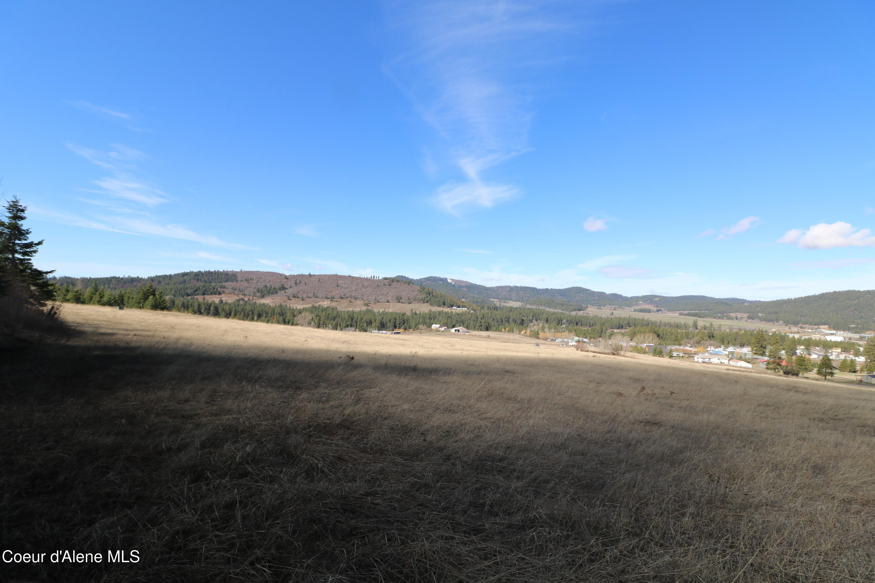 4 Thimbleberry Lane Plummer, ID 83851 - Photo 8 of 30 Field 2