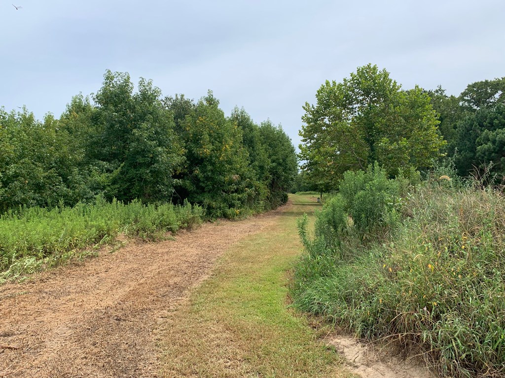 D Cheriton Cross Road, Unit D Cape Charles, VA 23310 - Photo 11 of 37
