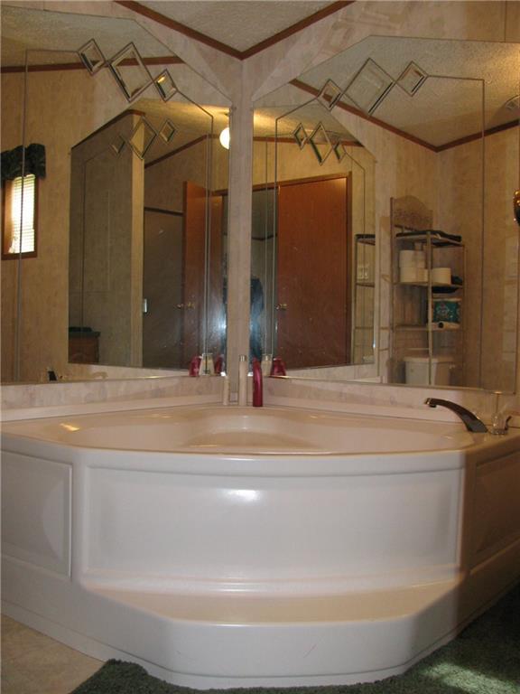 1375 Bucktail Road Jamestown, PA 16134 - Photo 22 of 23 MASTER BATH TUB ALSO STANDING SHOWER