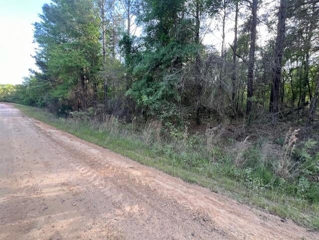 Oakey Streak Road Dozier, AL 36028 - Photo 7 of 9 Gallery Image 7