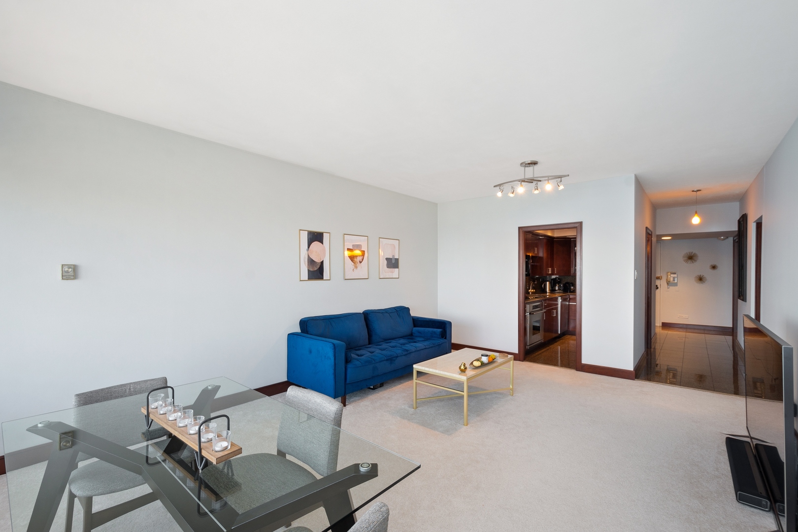 175 East Delaware Place, Unit 6107 Chicago, IL 60611 - Photo 4 of 18