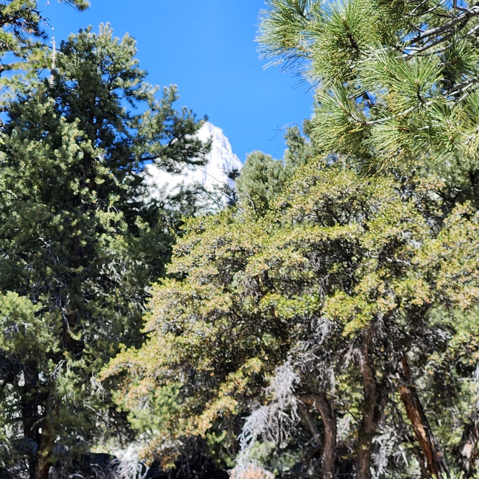 22 Whitney Portal Road Lone Pine, CA 93545 - Photo 3 of 32 Mt Whitney from deck