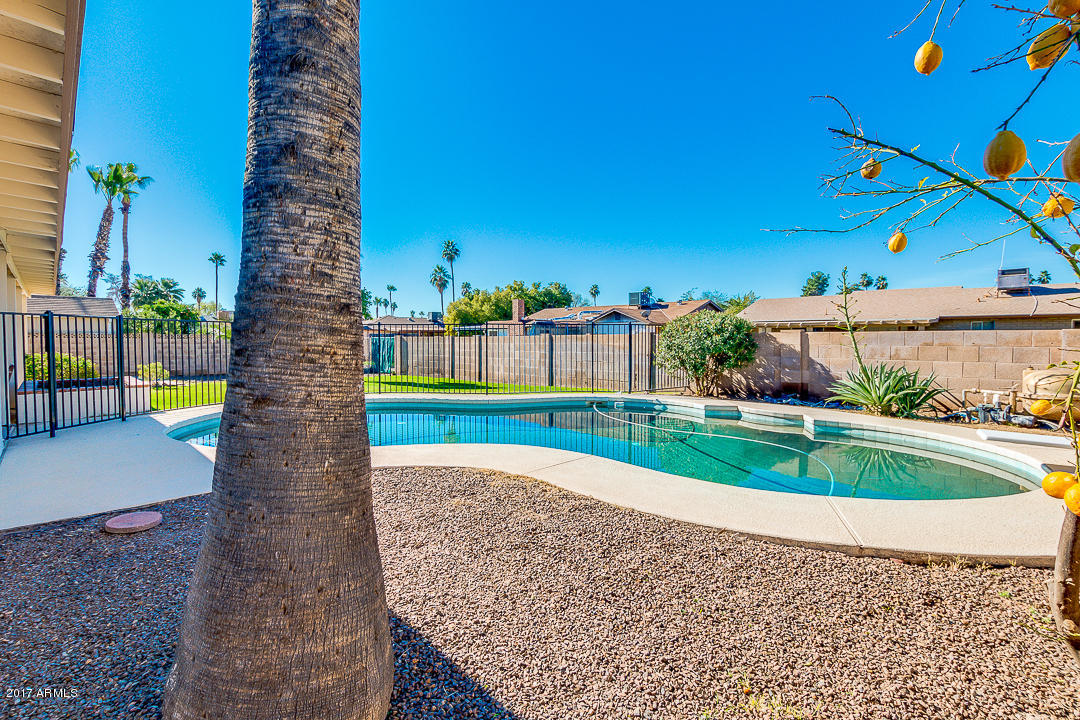 2816 South Evergreen Road Tempe, AZ 85282 - Photo 28 of 38 a view of a garden