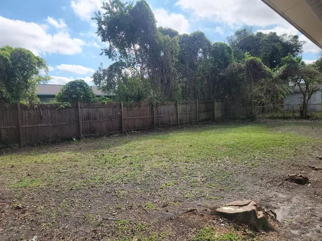 a view of a backyard with trees