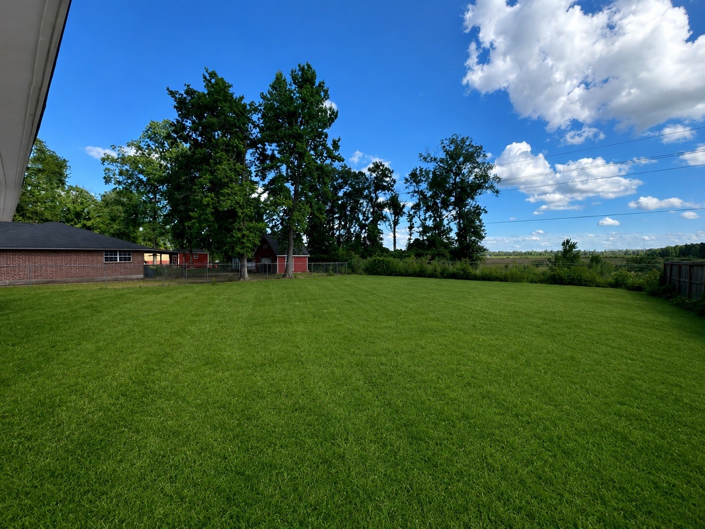 23718 East Webb Road Porter, TX 77365 - Photo 8 of 20 Grass has been virtually added to show potential