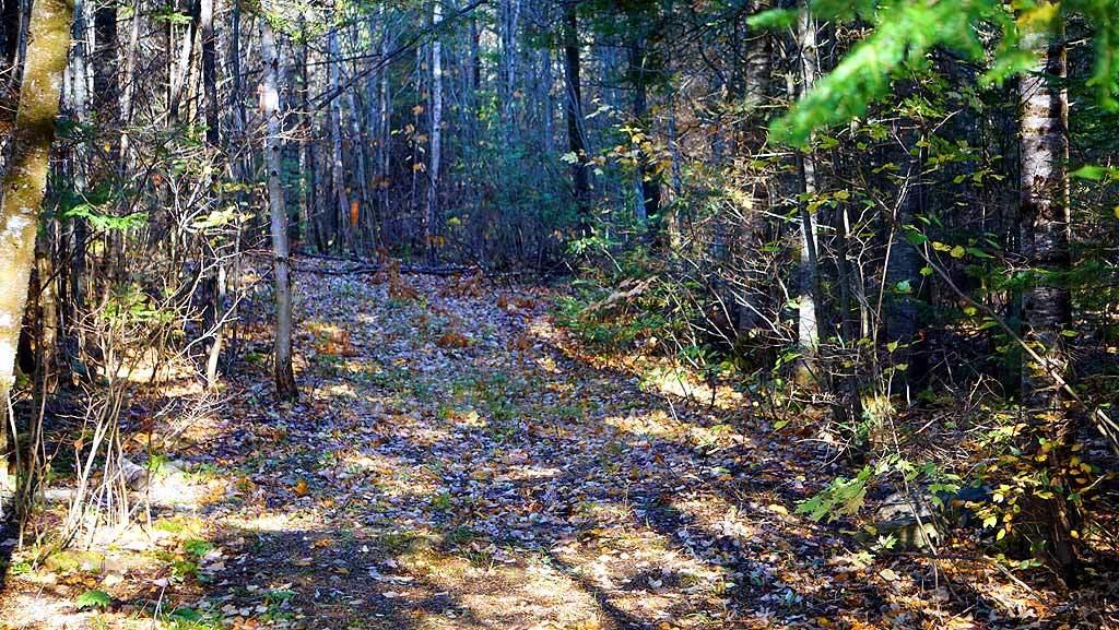 2397 Us Rt 2 Smyrna Mills, ME 04780 - Photo 55 of 111 2397-us-rt-2-smyrna-32