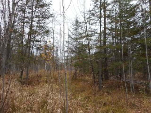 On Straveler Road Brantwood, WI 54513 - Photo 5 of 15 Gallery Image 5