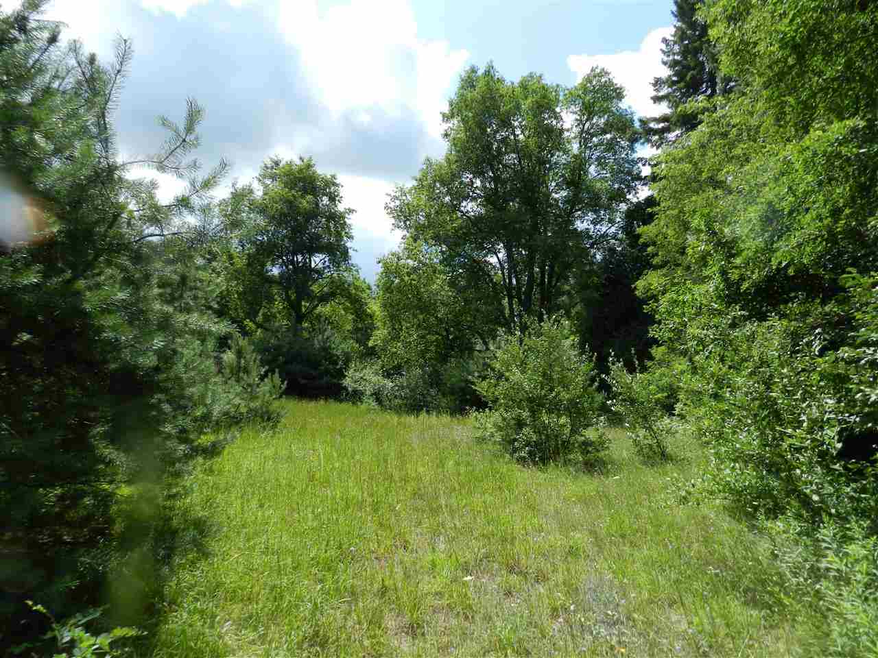 7529 Blue Road Southwest Fife Lake, MI 49633 - Photo 23 of 62 1865960-22.JPG