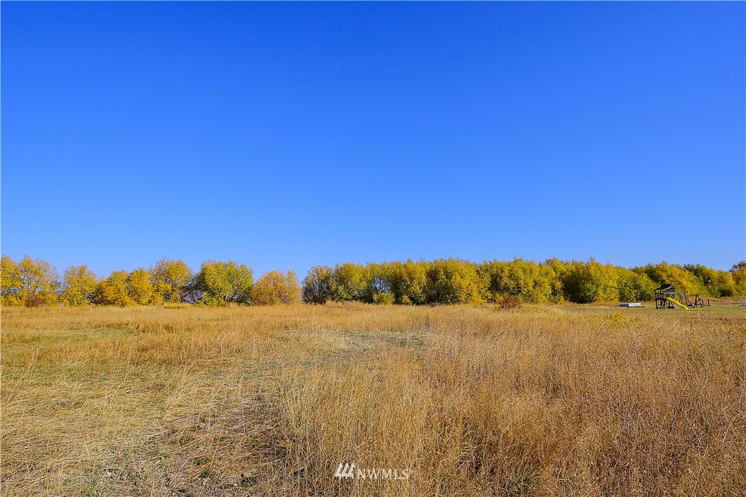 703 Look Road Ellensburg, WA 98926 - Photo 9 of 23 Gallery Image 9