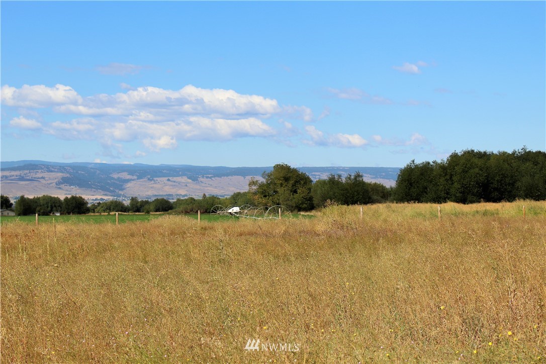 703 Look Road Ellensburg, WA 98926 - Photo 10 of 23 Gallery Image 10
