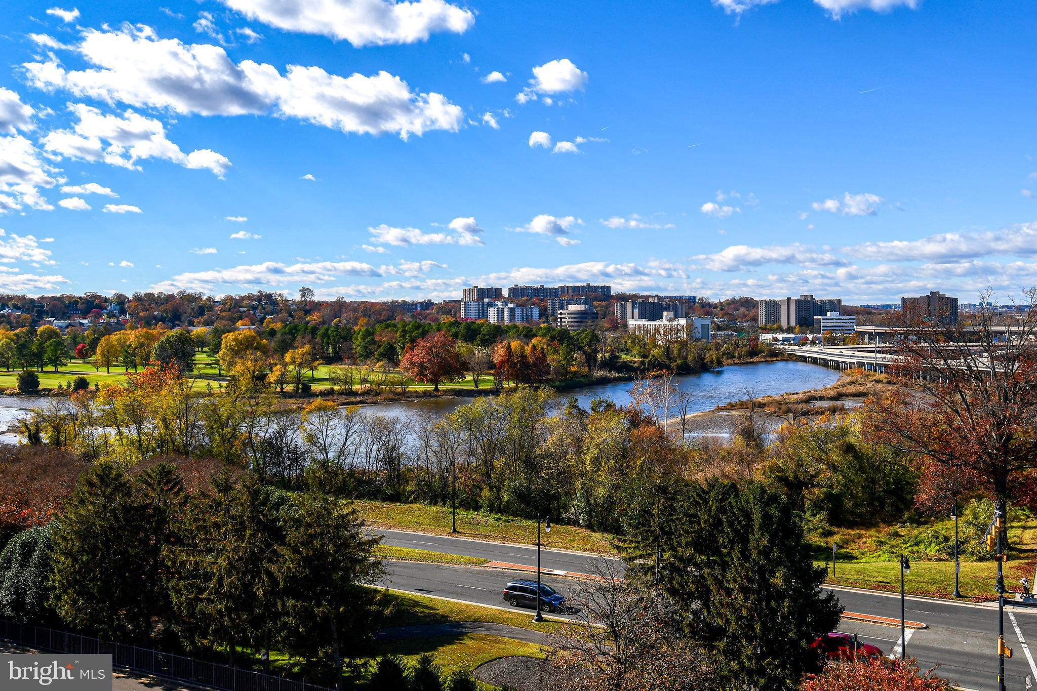 1250 South Washington Street, Unit 816 Alexandria, VA 22314 - Photo 2 of 58 Serene views from enclosed solarium
