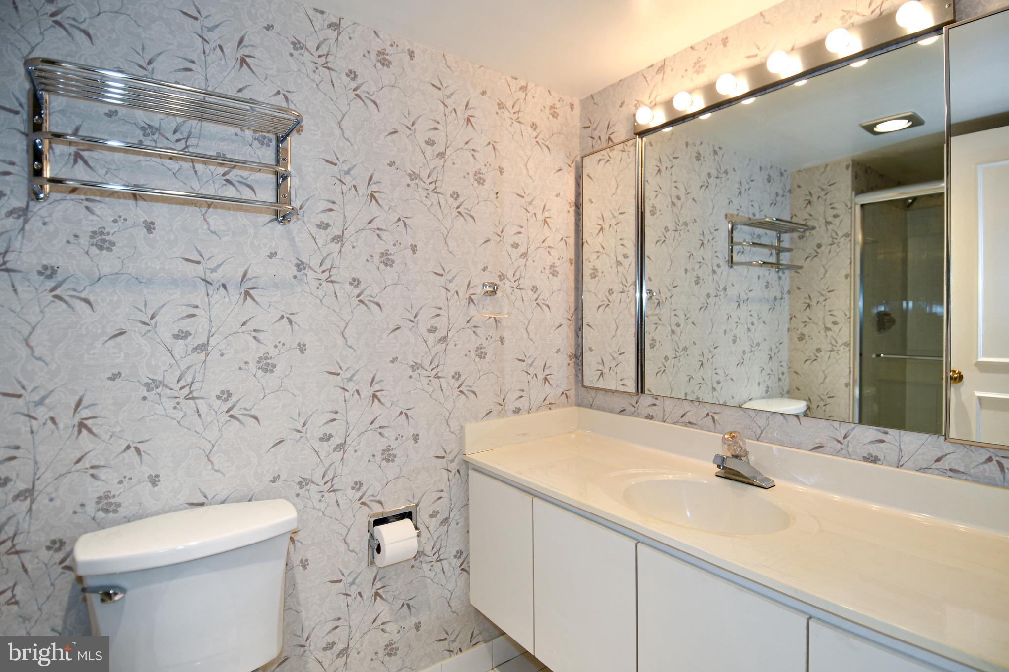1250 South Washington Street, Unit 816 Alexandria, VA 22314 - Photo 30 of 58 a bathroom with a sink a toilet and shower