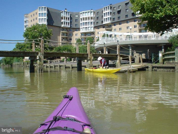 1250 South Washington Street, Unit 816 Alexandria, VA 22314 - Photo 54 of 58 a view of a building with lake view