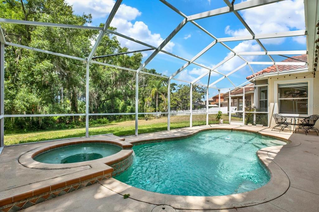 9137 Creedmoor Lane New Port Richey, FL 34654 - Photo 42 of 62