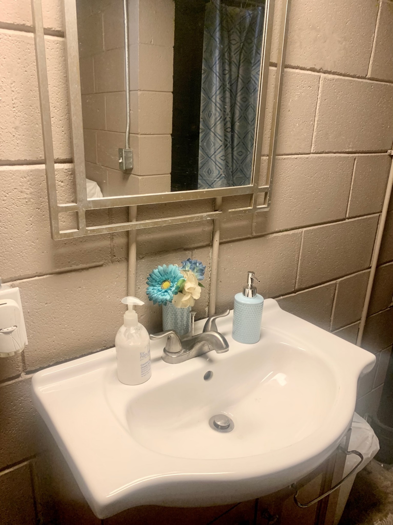 562 Walton Ferry Road Hendersonville, TN 37075 - Photo 23 of 24 a close view of sink and tap